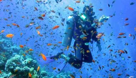 Egypt Scuba Diving